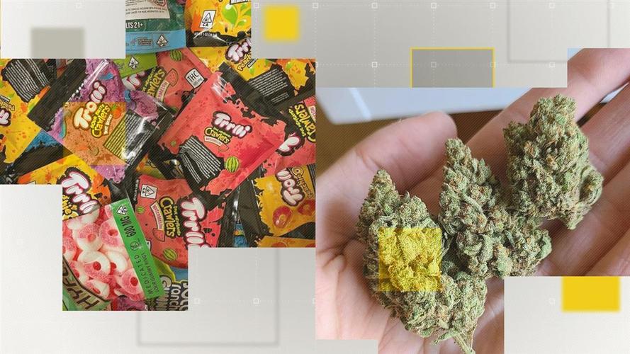 今晚开特马+开奖结果91和糖果检出大麻成分与