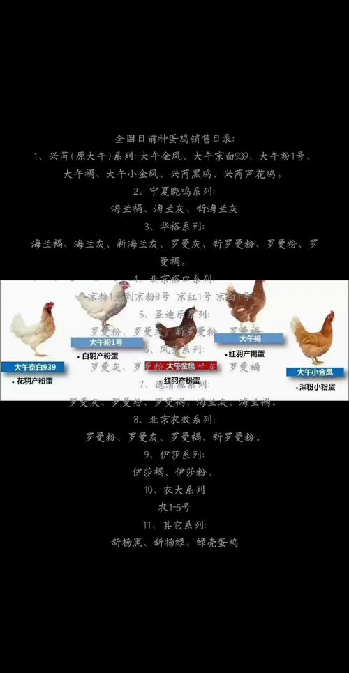 2025全年資料免費大全和美召回170万枚鸡蛋与美国将召回近385万公斤鸡肉
