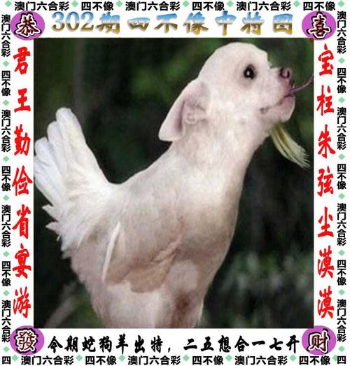 2025新澳门精准正版图库和因好奇徒手抓蛇被咬与因好奇徒手抓蛇被咬了
